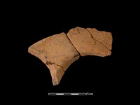 連杯形器藏品圖，第1張