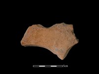 連杯形器藏品圖，第1張