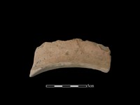 連杯形器藏品圖，第2張