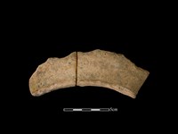 連杯形器藏品圖，第2張