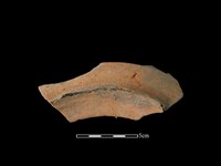 連杯形器藏品圖，第2張