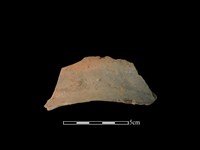 連杯形器藏品圖，第2張