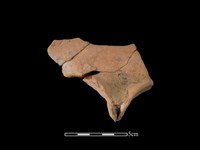 連杯形器藏品圖，第2張