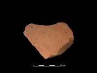 連杯形器藏品圖，第1張