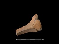 連杯形器藏品圖，第1張