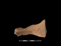 連杯形器藏品圖，第1張