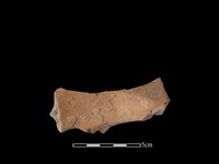 連杯形器藏品圖，第2張