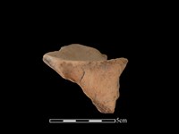 連杯形器藏品圖，第2張