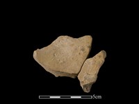 連杯形器藏品圖，第1張