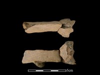 連杯形器藏品圖，第2張