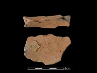 連杯形器藏品圖，第1張