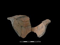 連杯形器藏品圖，第2張