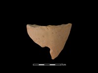 連杯形器藏品圖，第1張