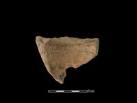 連杯形器藏品圖，第2張