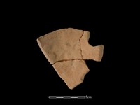 連杯形器藏品圖，第2張