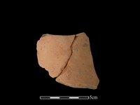 連杯形器藏品圖，第1張