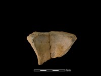 連杯形器藏品圖，第2張