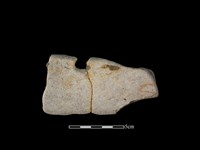 陶罐藏品圖，第2張