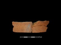 陶罐藏品圖，第1張