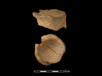 陶片藏品圖，第1張