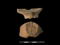 陶片藏品圖，第1張