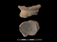 陶片藏品圖，第1張