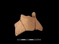 陶片藏品圖，第2張