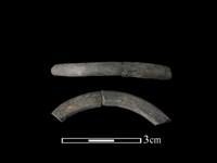 陶環藏品圖，第1張