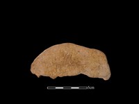 連杯形器藏品圖，第3張