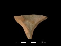 連杯形器藏品圖，第1張