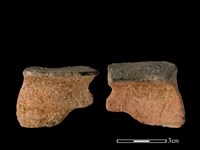 陶罐藏品圖，第1張