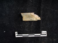 錛鑿形器藏品圖，第1張