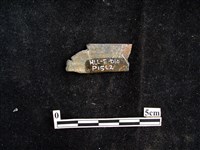 錛鑿形器藏品圖，第2張