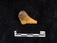 石材藏品圖，第1張