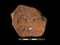 陶罐藏品圖，第2張