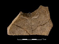 陶片藏品圖，第2張