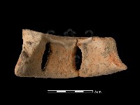 陶片藏品圖，第2張