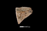 陶片藏品圖，第2張