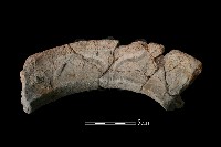 陶片藏品圖，第2張