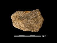 陶片藏品圖，第1張