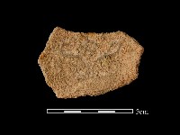 陶片藏品圖，第2張