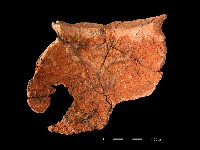 陶罐藏品圖，第2張