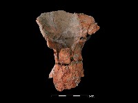 連杯形器藏品圖，第1張