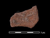 陶片藏品圖，第2張