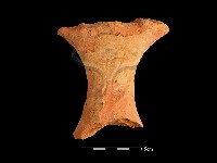 連杯形器藏品圖，第1張