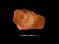 連杯形器藏品圖，第4張