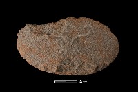 石刀藏品圖，第2張