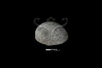 石片器藏品圖，第2張