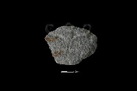 石片器藏品圖，第1張