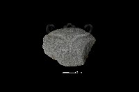 石片器藏品圖，第2張